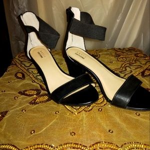 Basic Edition Heel Shoes